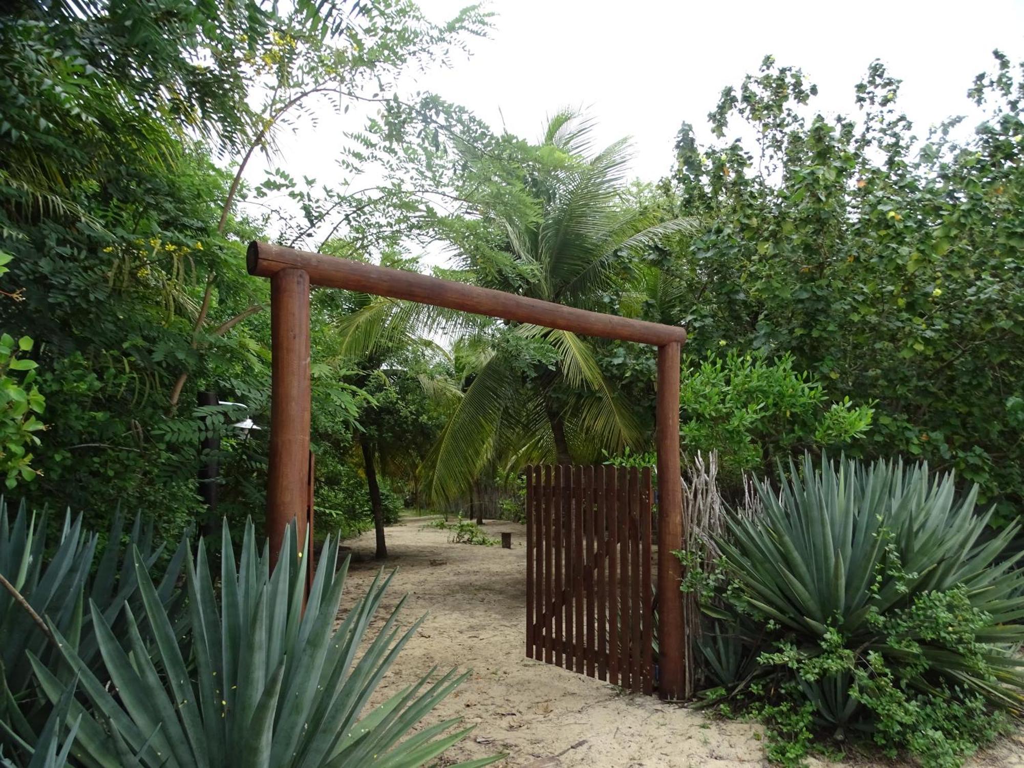 Jungle House Hotel Sao Miguel do Gostoso Bagian luar foto