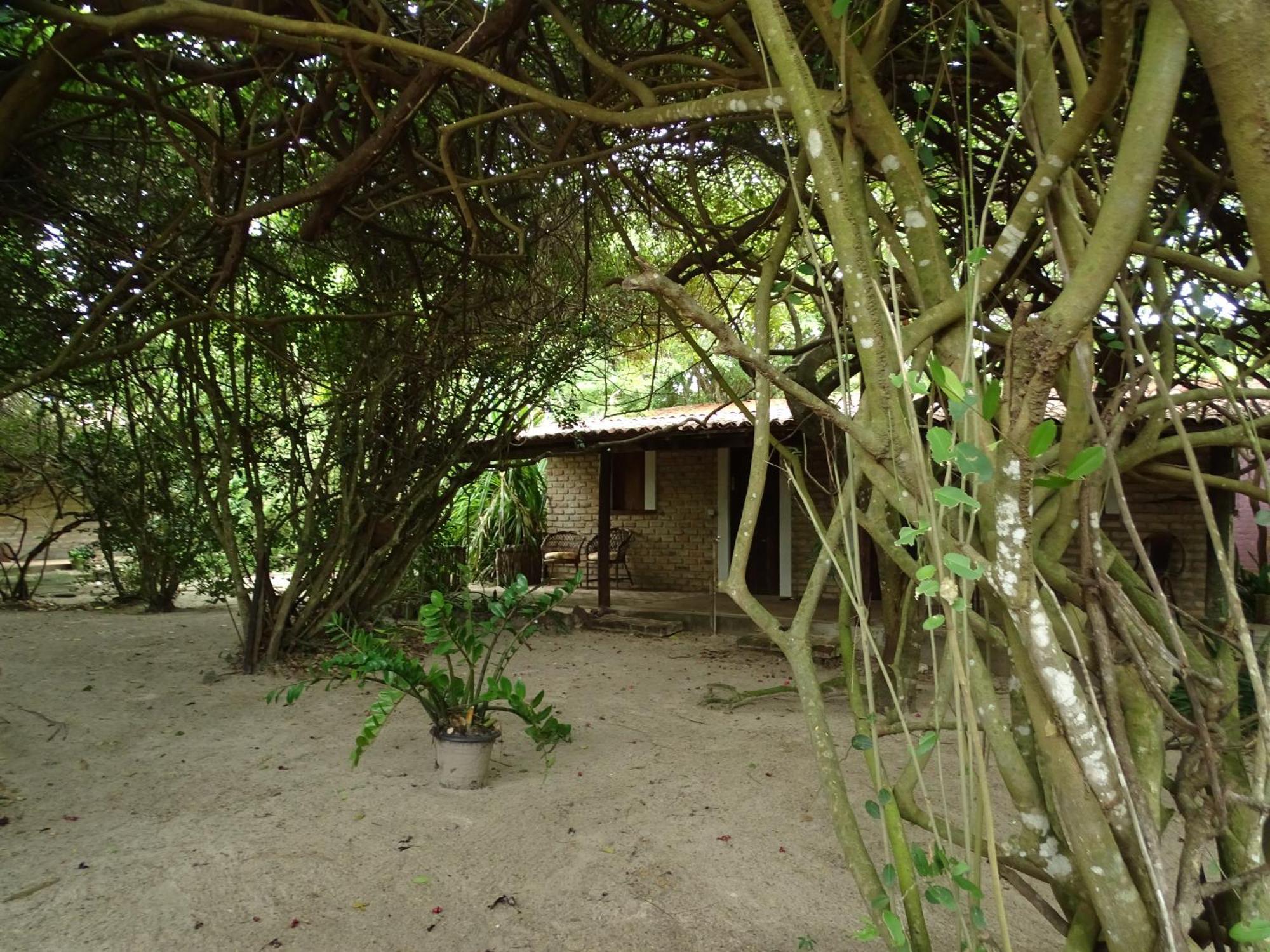 Jungle House Hotel Sao Miguel do Gostoso Bagian luar foto